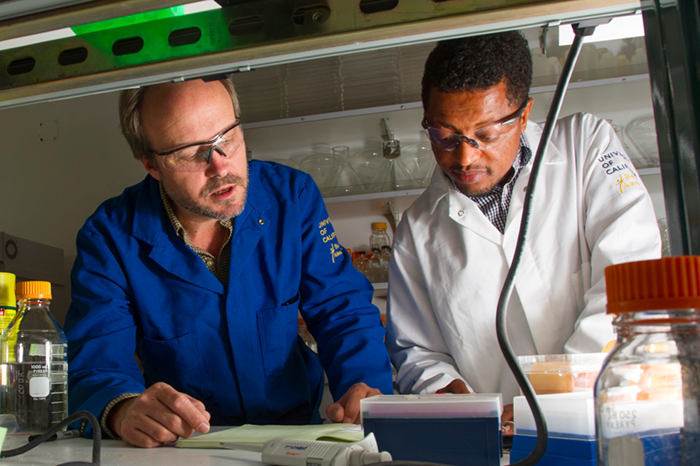 Researchers in the Cook Lab at UC Davis have focused on studying nitrogen fixation in legumes, a process that imbues them with high protein content.