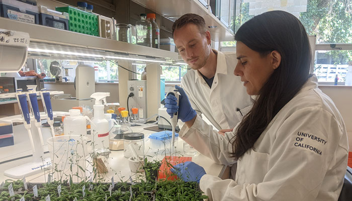 Proof-of-Concept Grants Awarded to Advance Innovations to Commercial Opportunities